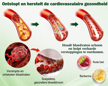 𝐍𝐚𝐭𝐫𝐚𝐯𝐨𝐫® Metabolic Nano Microneedle Patch 🇳🇱 (Eén keer per dag gebruiken — ondersteun je welzijnsroutine binnen 7 dagen)a